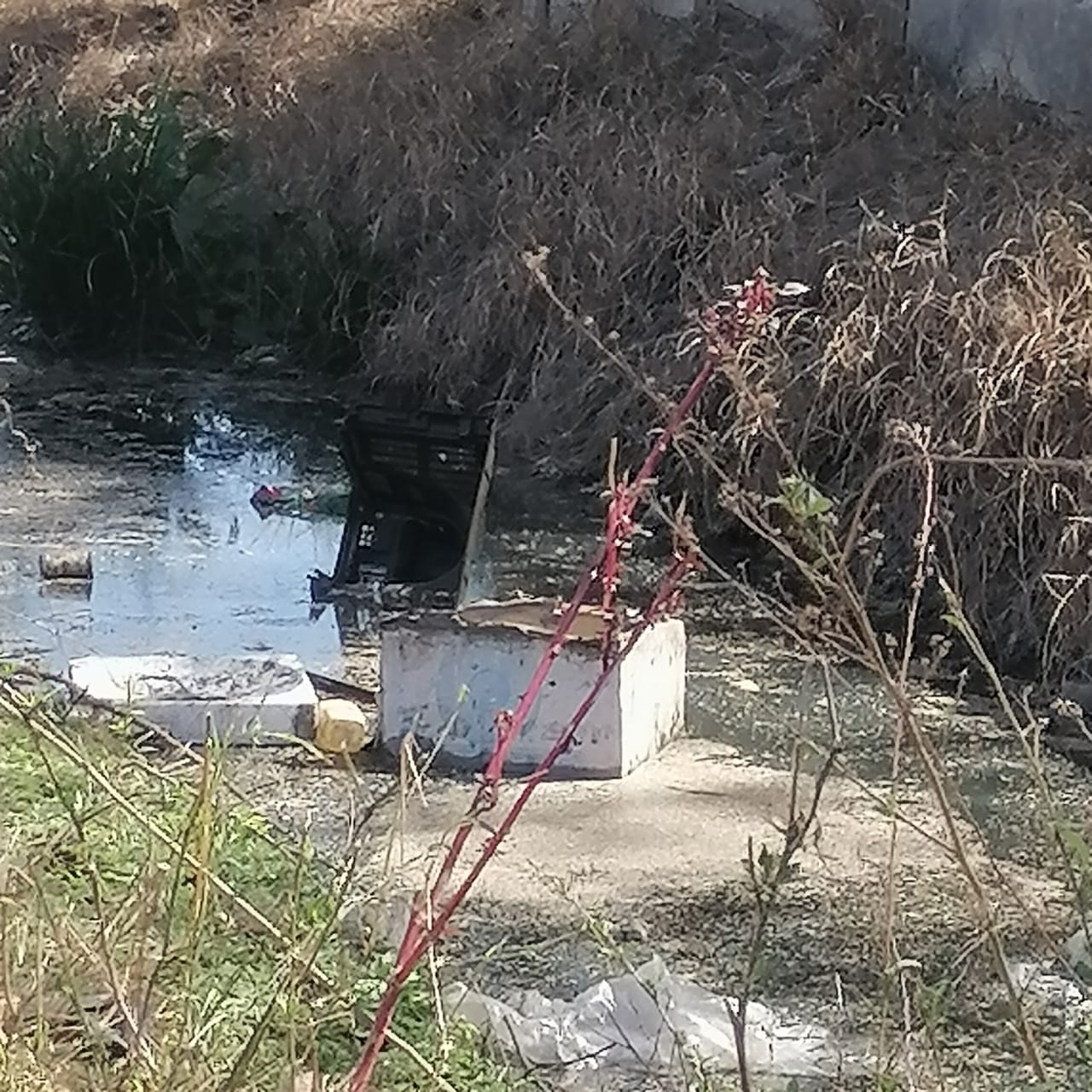 Sekhukhune District Municipality’s has ignored directives from the Department of Water and Sanitation to clean up their act is, is appalling.