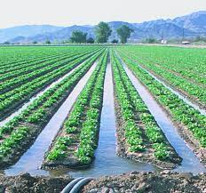 FARMER FINED OVER R1.7 MILLION FOR UNLAWFUL USE OF WATER