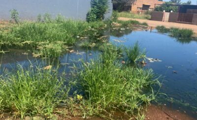 DA reports sewage spills in Lepelle Nkumpi to the Green Scorpions