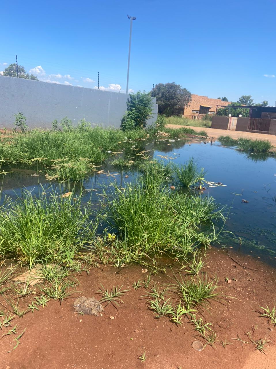 DA reports sewage spills in Lepelle Nkumpi to the Green Scorpions