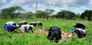 Finalisation of land claims in Limpopo proceeds at a snail’s pace by Jacques Smalle MPL - DA Provincial Spokesperson on Agriculture and Rural Development