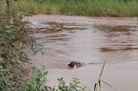 POLICE ARE APPEALING FOR ASSISTANCE IN IDENTIFYING BODY OF UNKNOWN MAN RETRIEVED FROM ALVERTON RIVER IN TUBATSE