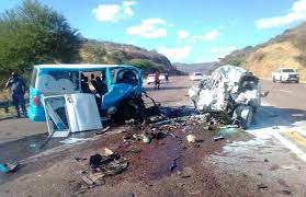 The DA in Limpopo is concerned about the ongoing road carnage