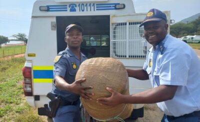 BURGERSFORT POLICE NABBED THREE SUSPECTS INCLUDING A 46 YEAR-OLD POLICE OFFICER FOR ALLEGED POSSESSION AND TRANSPORTATION OF DAGGA