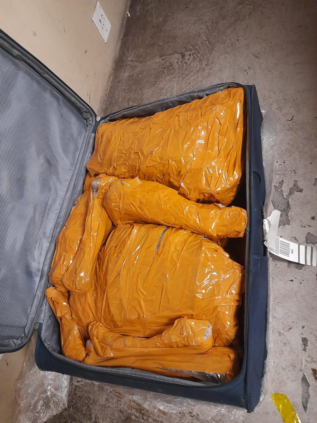 FOREIGN NATIONAL BUST WHILE TRAFFICKING LION BONES