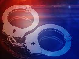 A 30 YEAR-OLD MALE SUSPECT APPREHENDED IN CONNECTION WITH THE MURDER OF A 33 YEAR-OLD WOMAN IN NAMAKGALE PRECINCT REMANDED IN POLICE CUSTODY