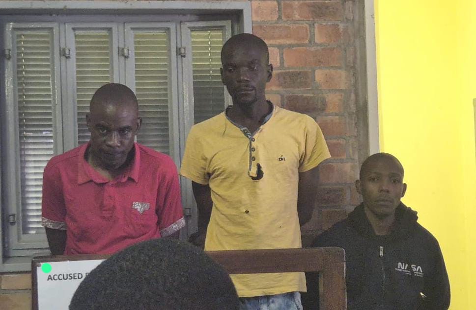 HEFTY SENTENCES FOR SKUKUZA POACHERS