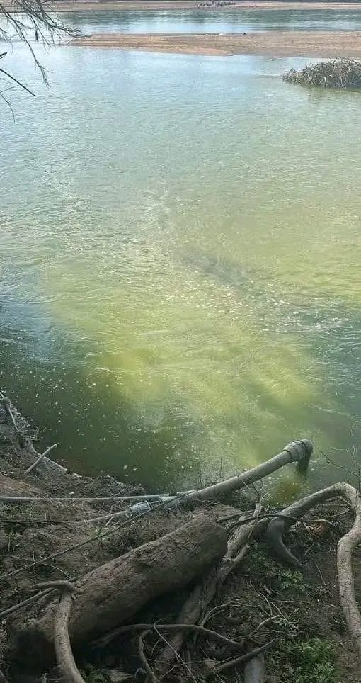 LIMPOPO RIVER IS HIGHLY POLLUTED