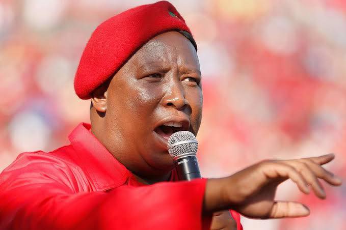 BREAKING NEWS : Malema Demands Police Commissioner, Mkhwanazi To Testify Before Parliamentary Committee