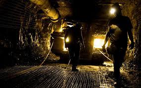 87 ILLEGAL MINERS SENTENCED TO 696 YEARS IMPRISONMENT