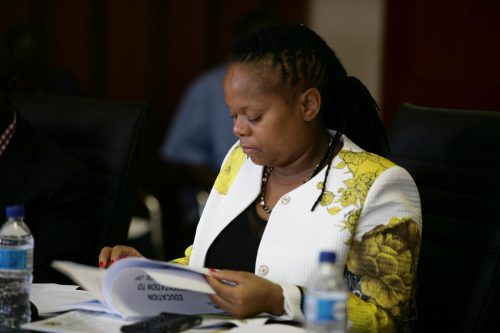 DA requests Limpopo Health Committee to address dubious hospital coal tender