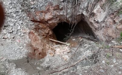 DISRUPTIVE OPERATION BETWEEN SAPS AND SANDF NABBED FIVE UNDOCUMENTED FOREIGN NATIONALS IN GRAVELLOTE