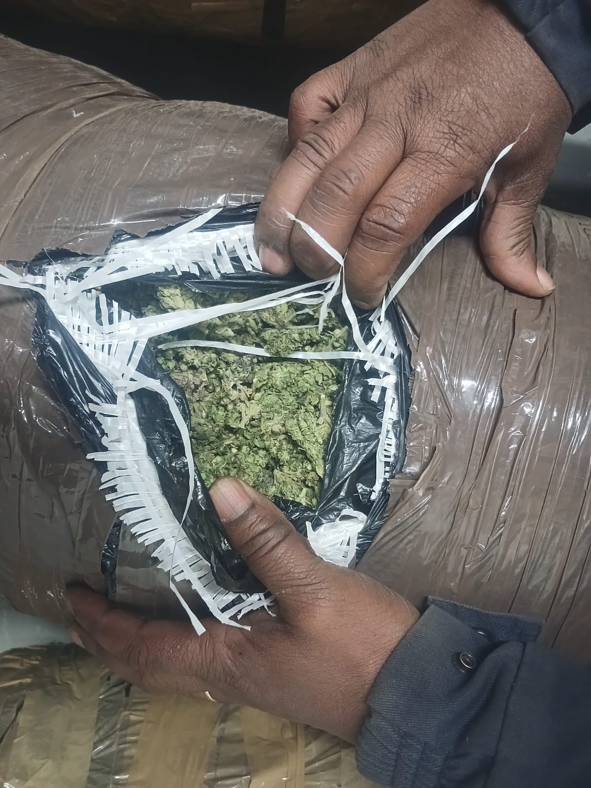 BURGESFORT POLICE APPREHEND THREE MALE SUSPECTS FOR DEALING IN DAGGA WORTH R200 000-00