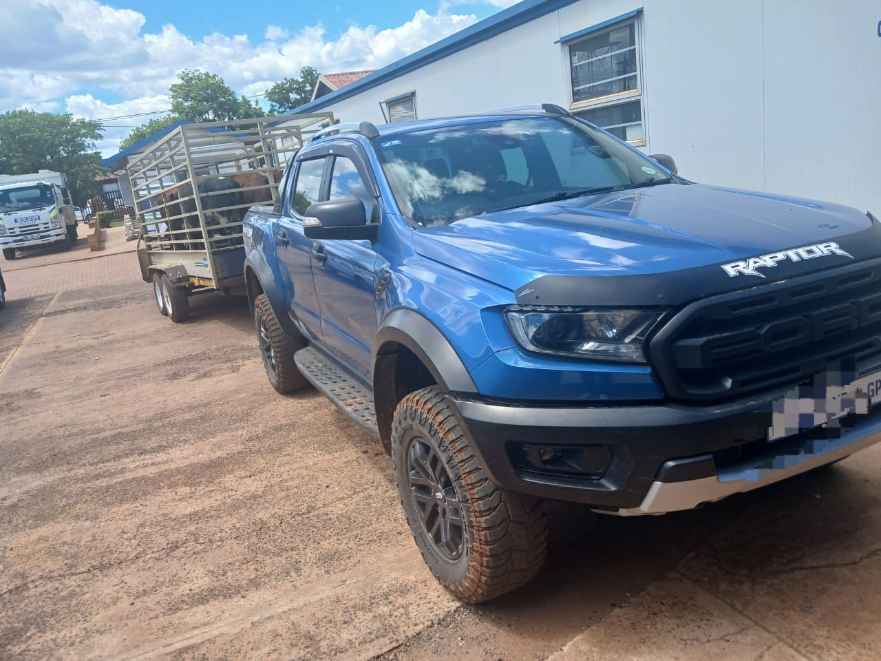TWO SUSPECTS ARRESTED FOR ROBBING LIVE STOCK AT GUN POINT IN TUBATSE, SEKHUKHUNE DISTRICT