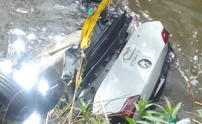 THE BACK OF THE POLLO HAVE BEEN FOUND.