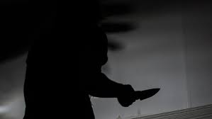 POLICE ARREST SUSPECT IN SHAWELA VILLAGE MURDER CASE WITHIN 24 HOURS