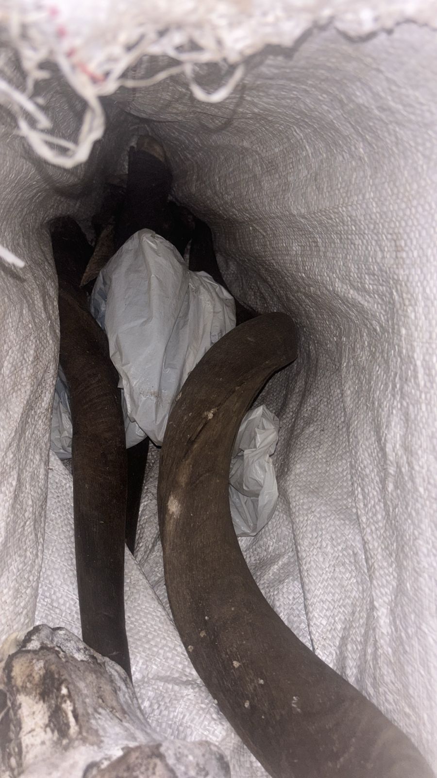 FOUR SUSPECTS NABBED FOR STOCK THEFT RELATED CHARGES AT SEPARATE LOCATIONS IN VHEMBE DISTRICT
